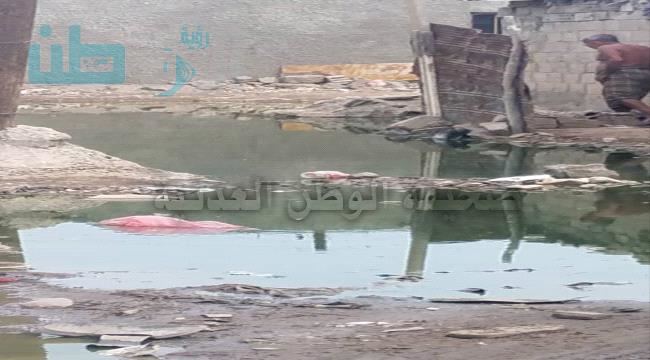 
عدن..مياه المجاري تطفح إلى منازل المواطنين في الممدارة وسط تجاهل الجهات المختصة (صور)