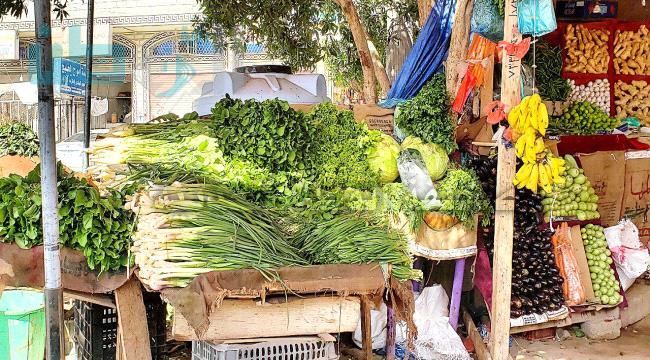 
أسعار الخضروات بالجملة والكليو في سوق شميلة بصنعاء