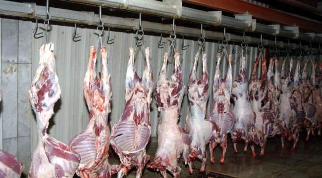 
                     إقرار تسعيرة جديدة لأنواع اللحوم في عدن - وثيقة 