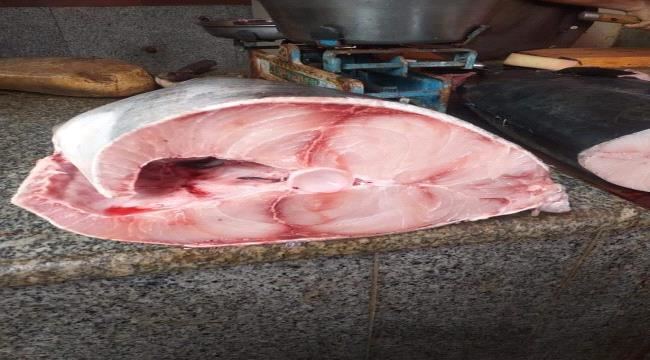 
                     اسعار انواع الأسماك في أسواق العاصمة عدن لهذا اليوم الجمعة