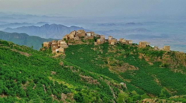 
                     جبل بُرع ..مصور يوثق آخر بقايا غابات شبه استوائية بشبه الجزيرة العربية في اليمن - شاهد صور