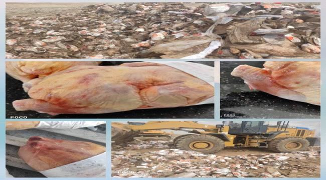 
                     رفض و إتلاف كمية كبيرة من الدجاج الفاسد المستورد في عدن