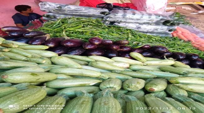
                     أسعار الخضروات والفواكه اليوم الخميس بسوق الجملة في المنصورة بعدن